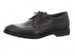 Preview: Lloyd X-Motion 110W 25-533-07