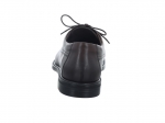 Preview: Lloyd X-Motion 110W 25-533-07
