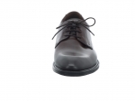 Preview: Lloyd X-Motion 110W 25-533-07