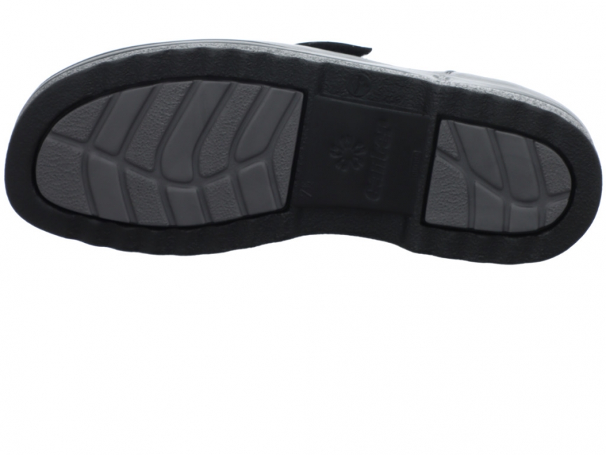 Ganter ERIC 256111-01000