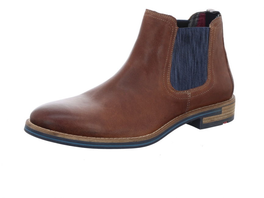 Lloyd DARIO 21543-03