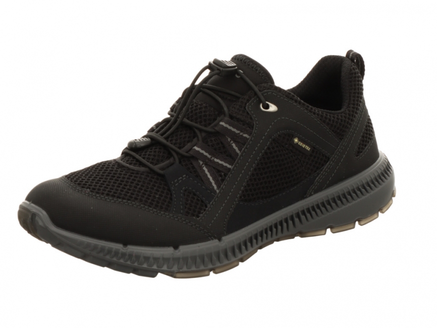 Ecco Terracruise 2 Gore-Tex 84306351052