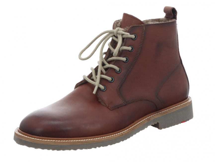 Lloyd Darwin 23-567-03
