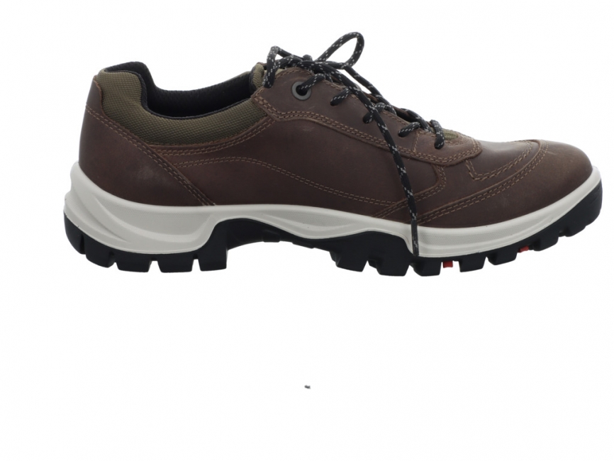 Ecco Xpedition III Shoe 811434-02559
