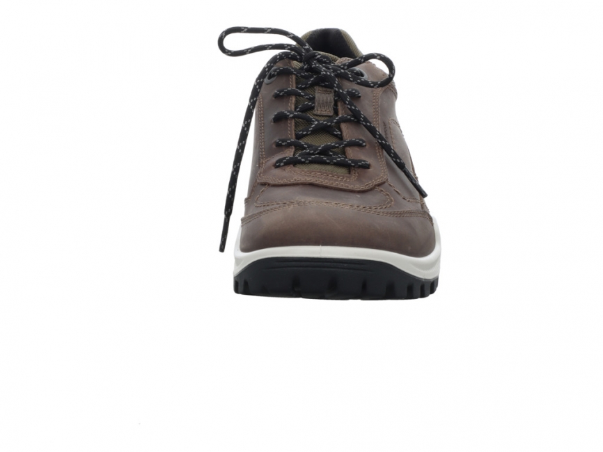 Ecco Xpedition III Shoe 811434-02559