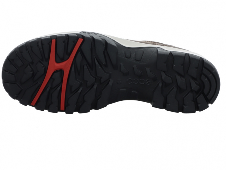 Ecco Xpedition III Shoe 811434-02559