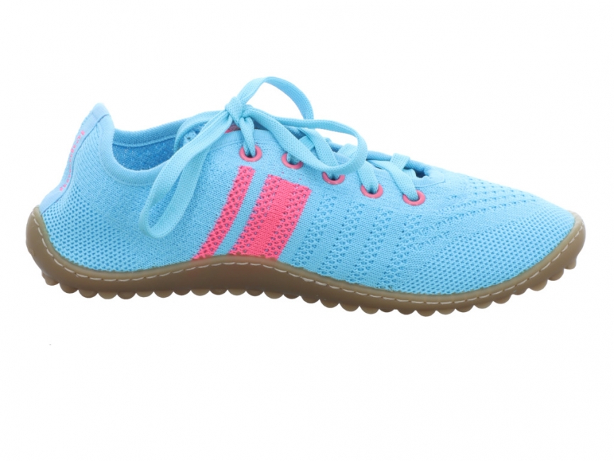 Leguano caribeo rose caribeo blue