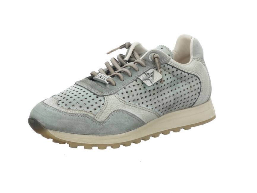 Cetti C848 Used Tin Wasabi C848 V26 Used TIN Wasabi