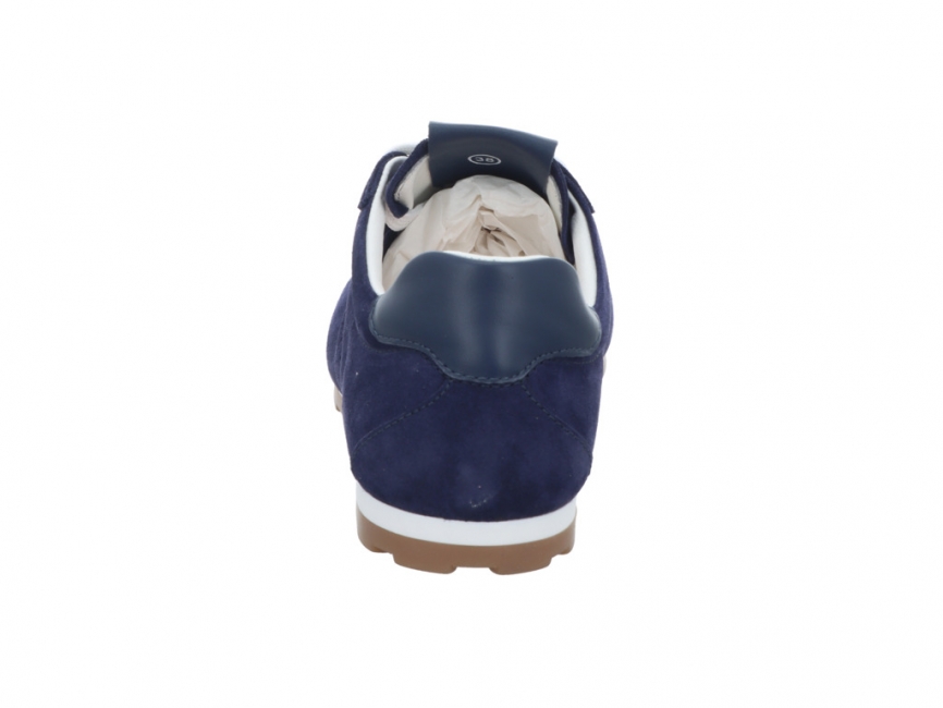 CMY Shibay Navy Shibay