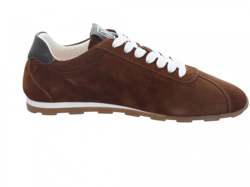 CMY Shibay Brown Shibay Brown