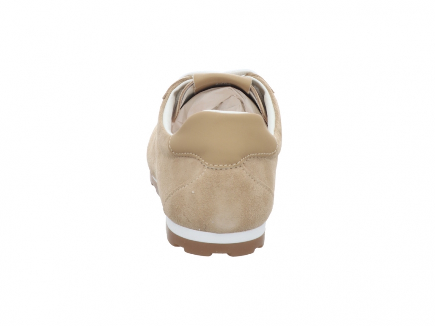 CMY Shibay Sabbia Shibay Sabbia