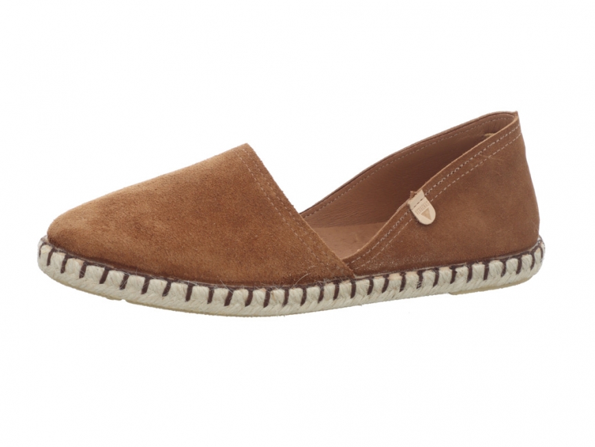 Verbenas Carmen Moccha Carmen Moccha