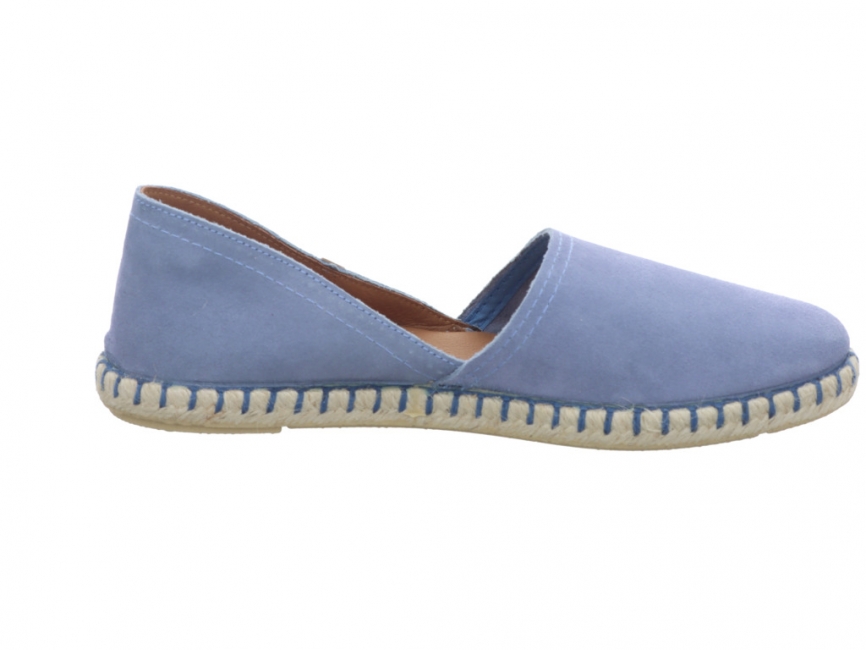 Verbenas Carmen Sea Carmen sea