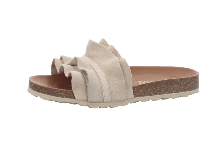 Verbenas Rocio Crudo Rocio Crudo