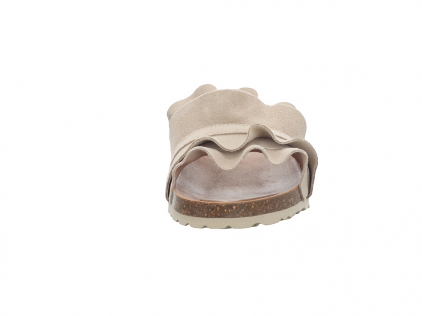 Verbenas Rocio Crudo Rocio Crudo