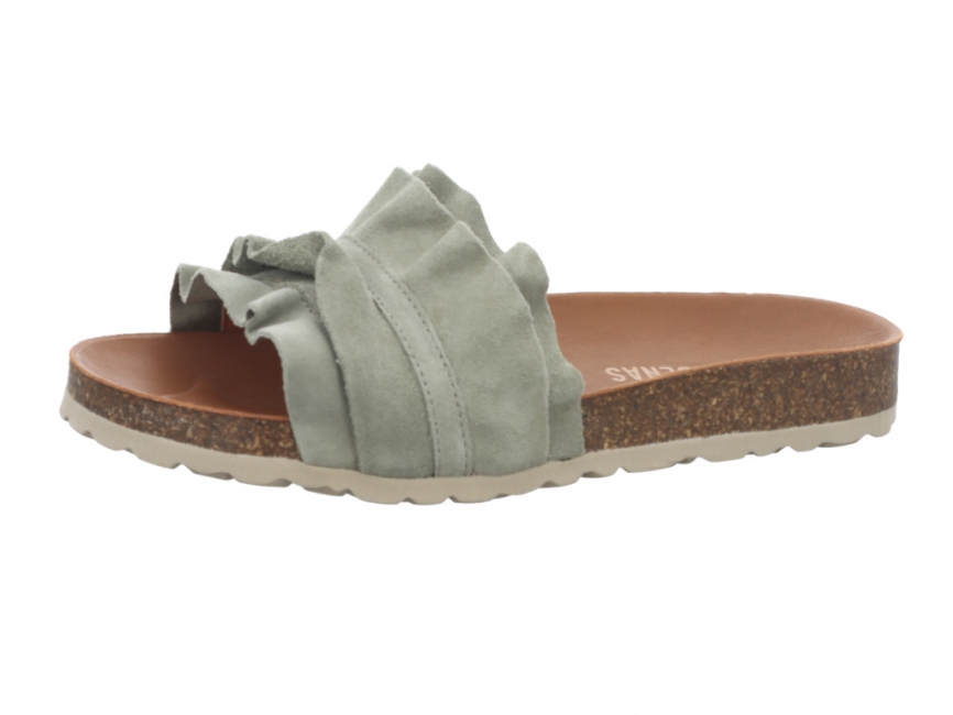 Verbenas Rocio Bosco Rocio Bosco