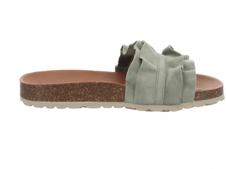 Verbenas Rocio Bosco Rocio Bosco