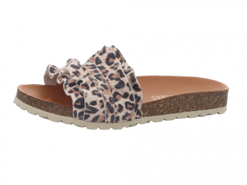 Verbenas Rocio Nat Leo Rocio Nat Leo