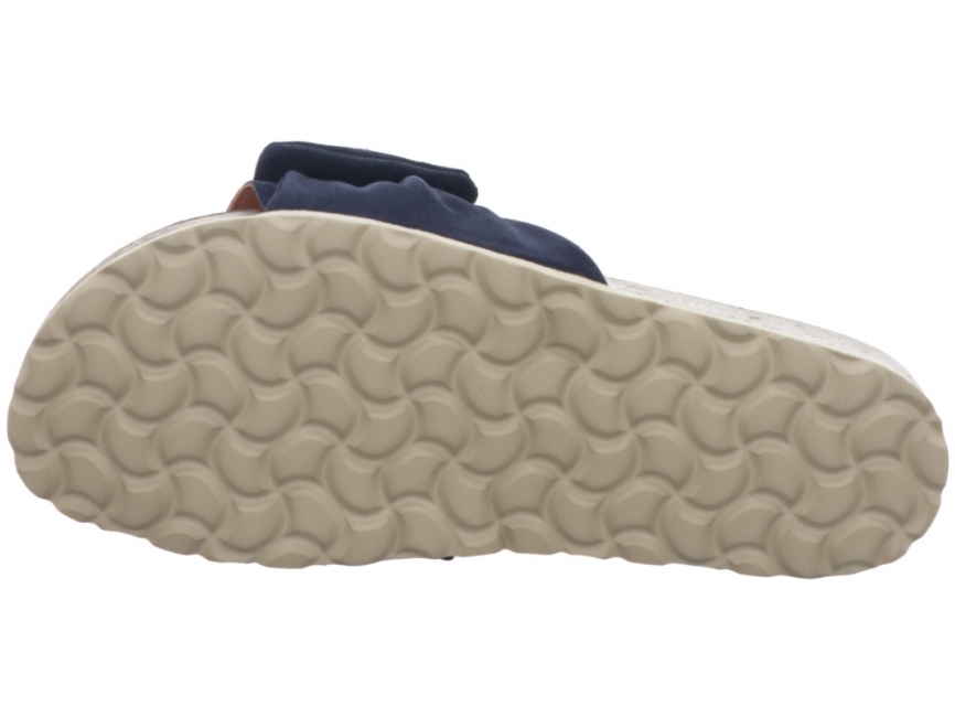 Verbenas Roxy Marino Roxy Marino