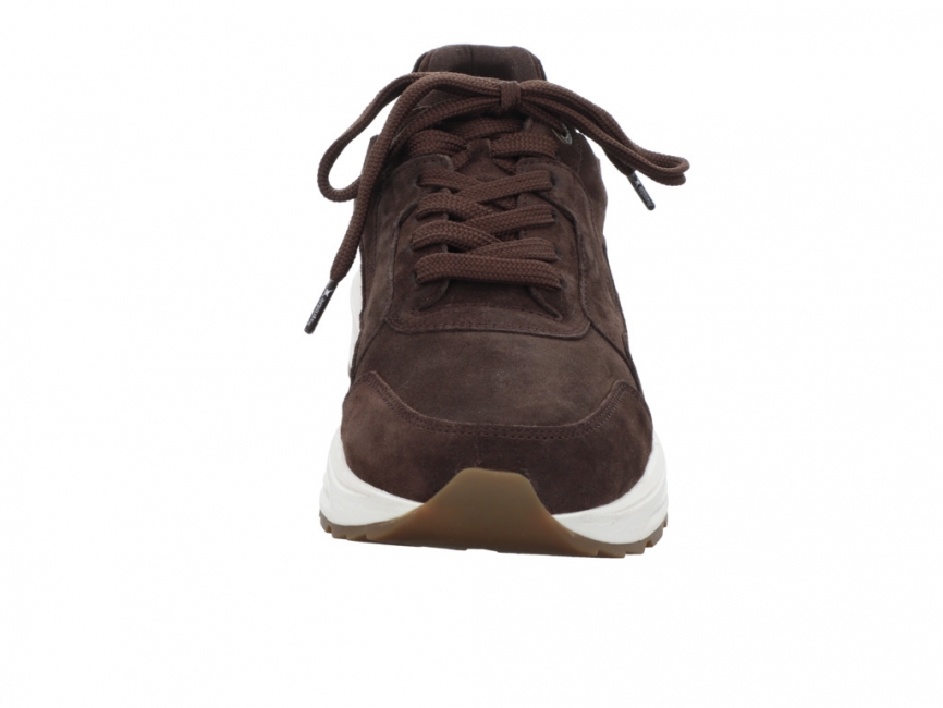 Xsensible Golden Gate Men - Dark Brown 33200.4.308