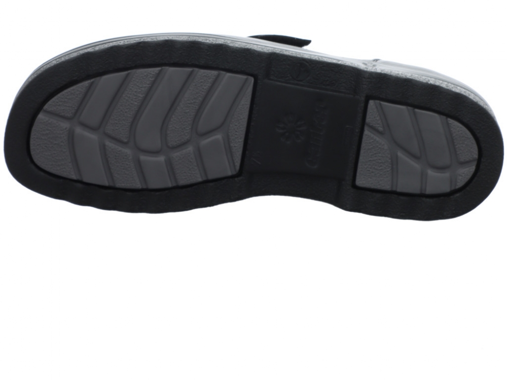 Ganter ERIC 256111-01000