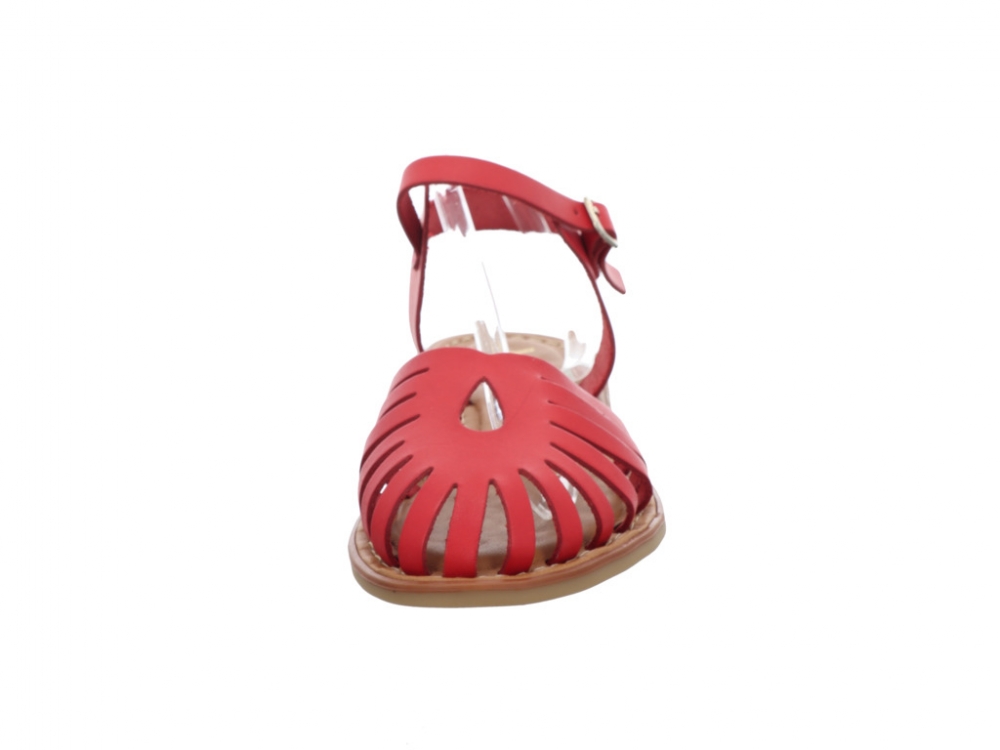 Wikers R77783 R77783 Rojo