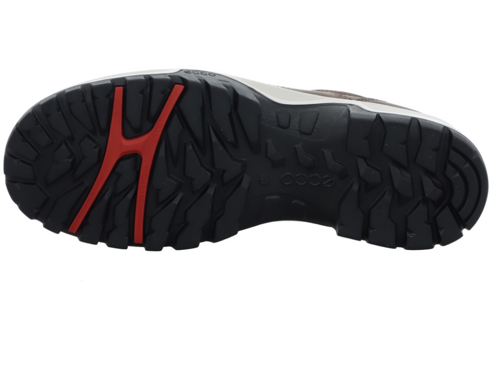 Ecco Xpedition III Shoe 811434-02559