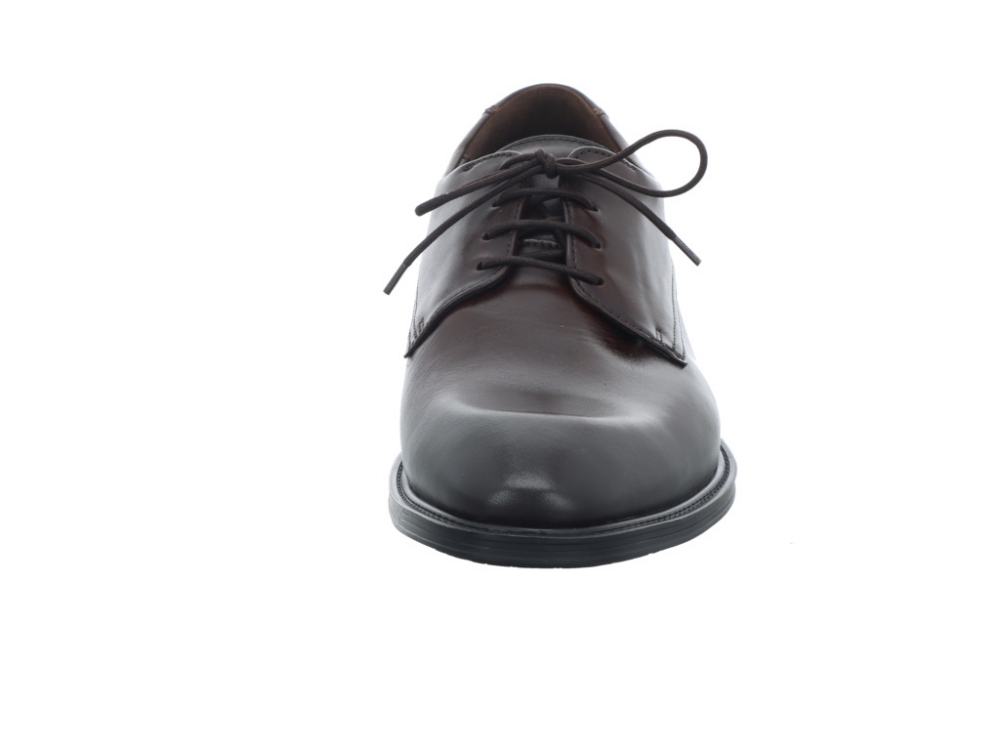 Lloyd X-Motion 110W 25-533-07