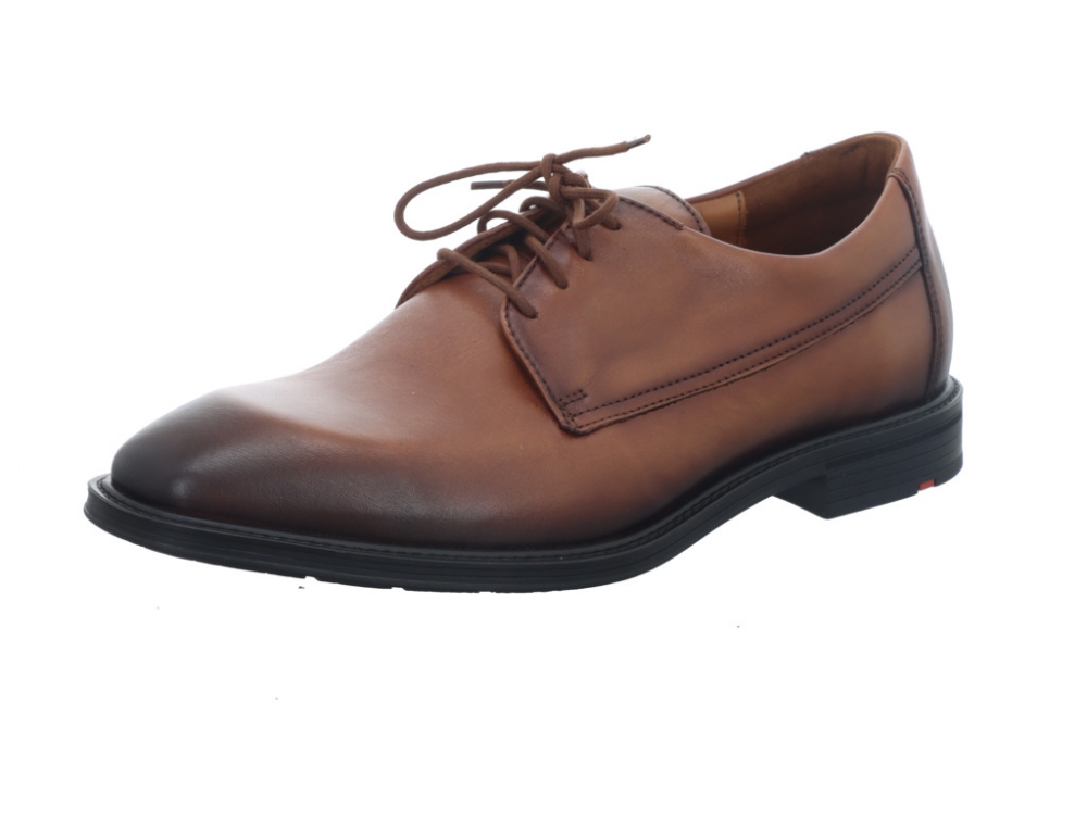 Lloyd X-Motion 110W 25-533-03