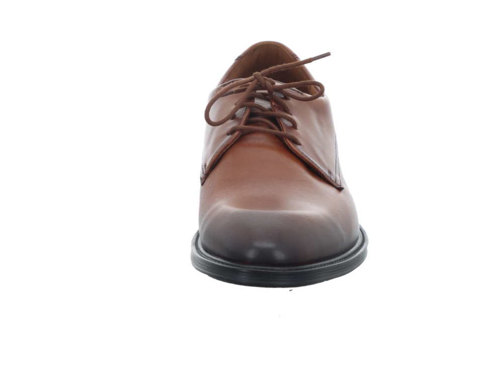 Lloyd X-Motion 110W 25-533-03