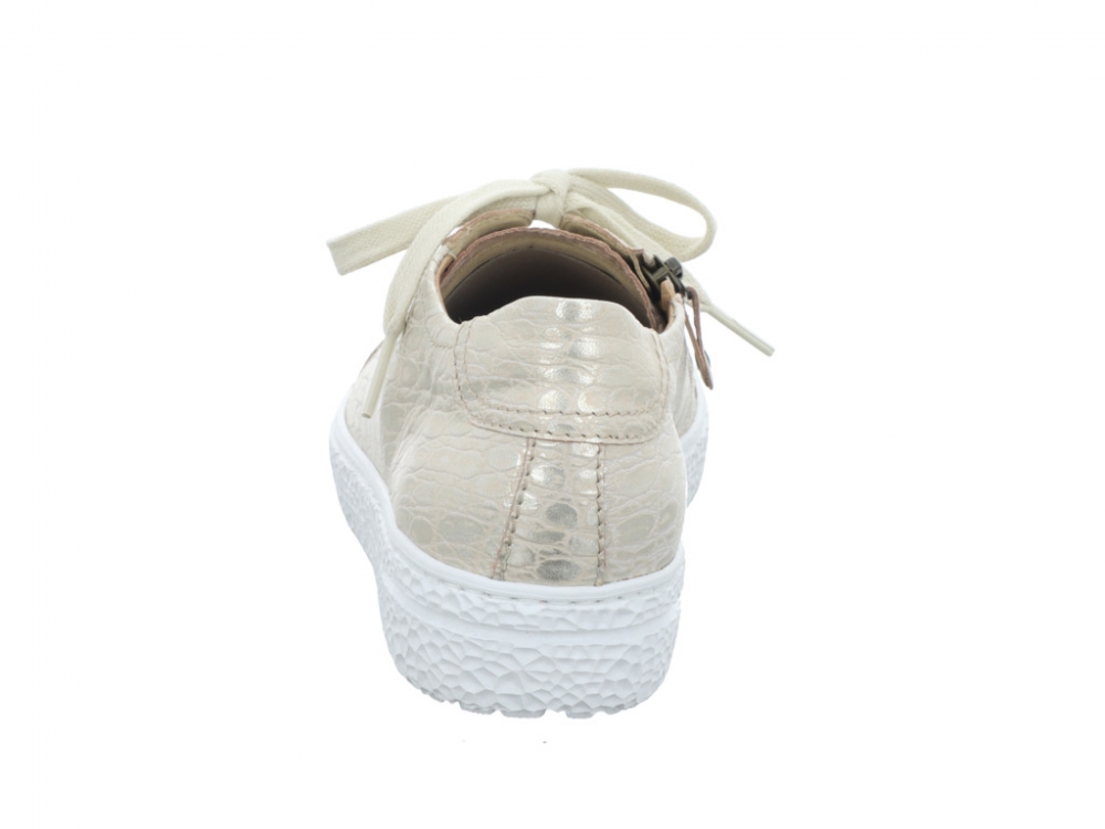 Hartjes Phil 162.1430/14-40.40