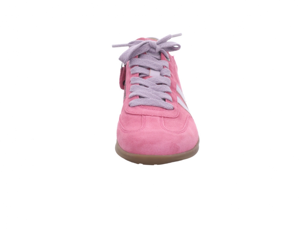 Hartjes GOA 162.2106/31.11.82