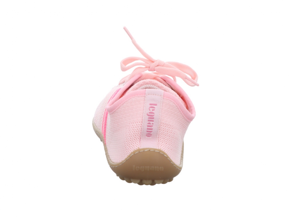 Leguano caribeo rose caribeo rose