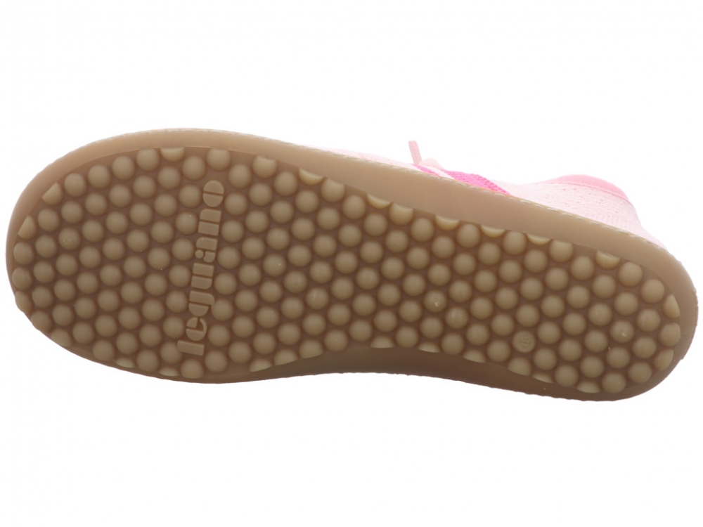 Leguano caribeo rose caribeo rose