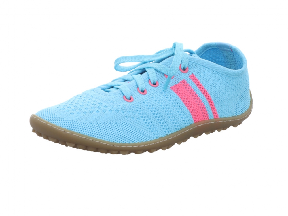 Leguano caribeo rose caribeo blue