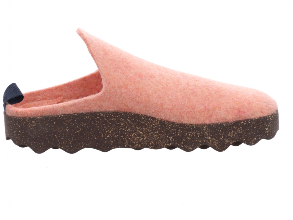 Asportuguesas Come L Felt Salmon P018023099