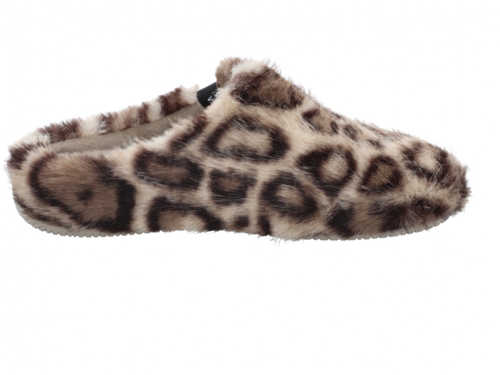 Verbenas York Feline Crudo York Feline Crudo