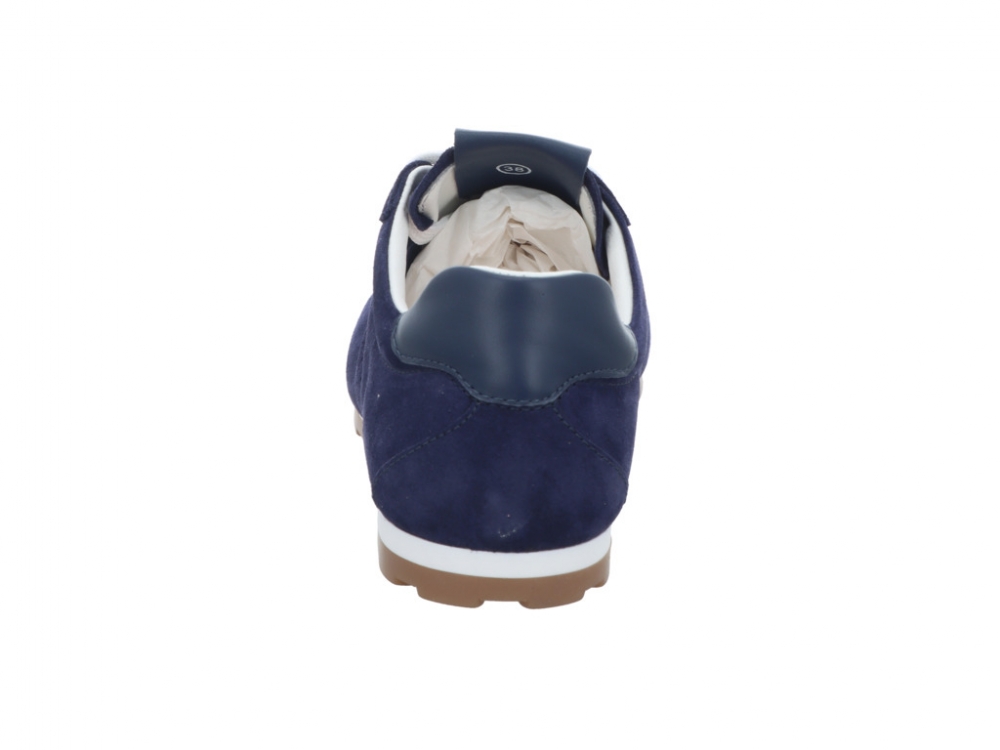 CMY Shibay Navy Shibay