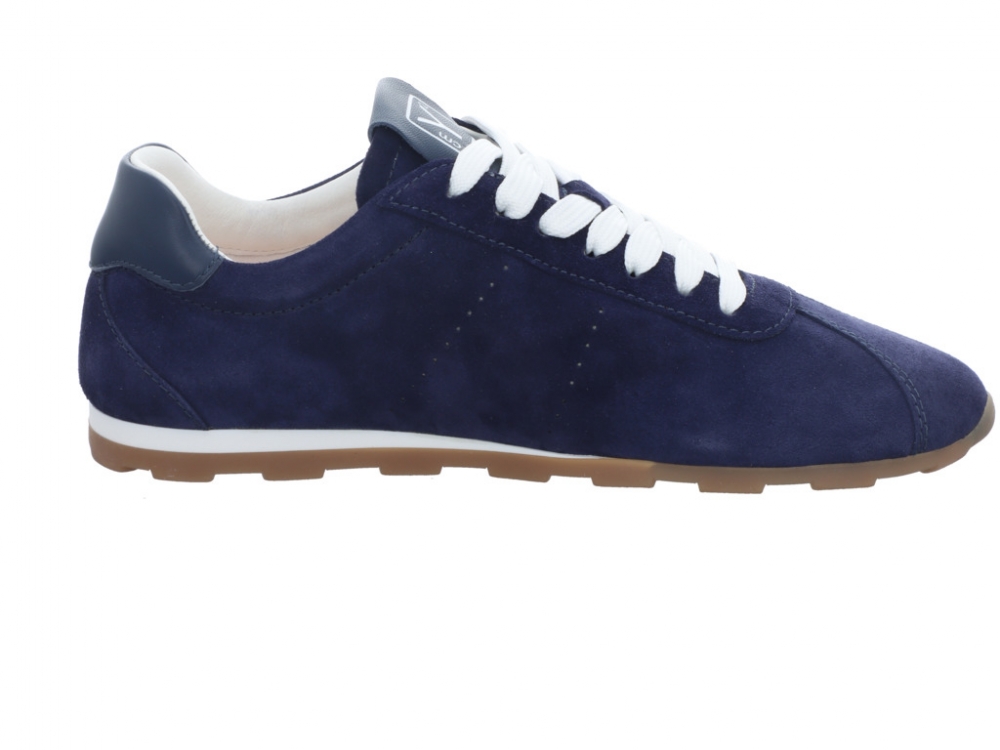 CMY Shibay Navy Shibay