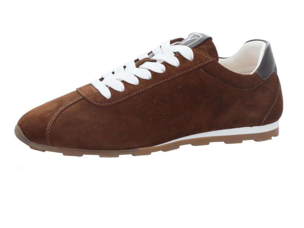 CMY Shibay Brown Shibay Brown