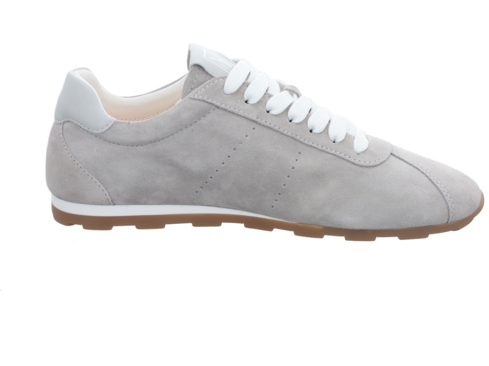 CMY Shibay Grey Shibay Grey