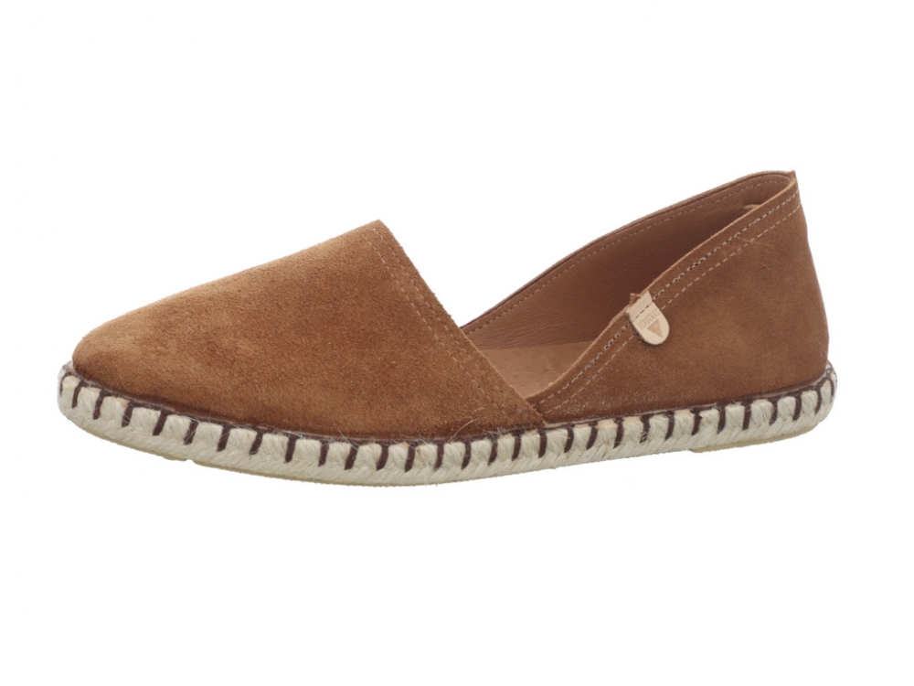 Verbenas Carmen Moccha Carmen Moccha