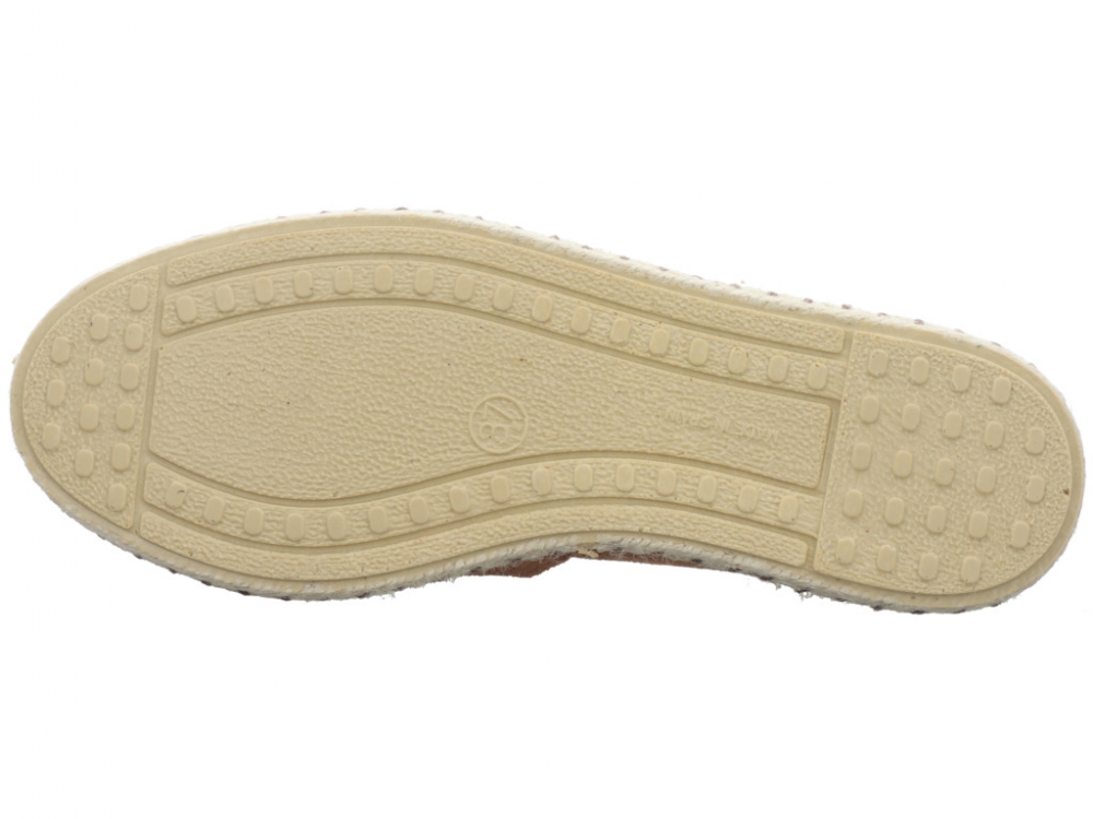 Verbenas Carmen Moccha Carmen Moccha