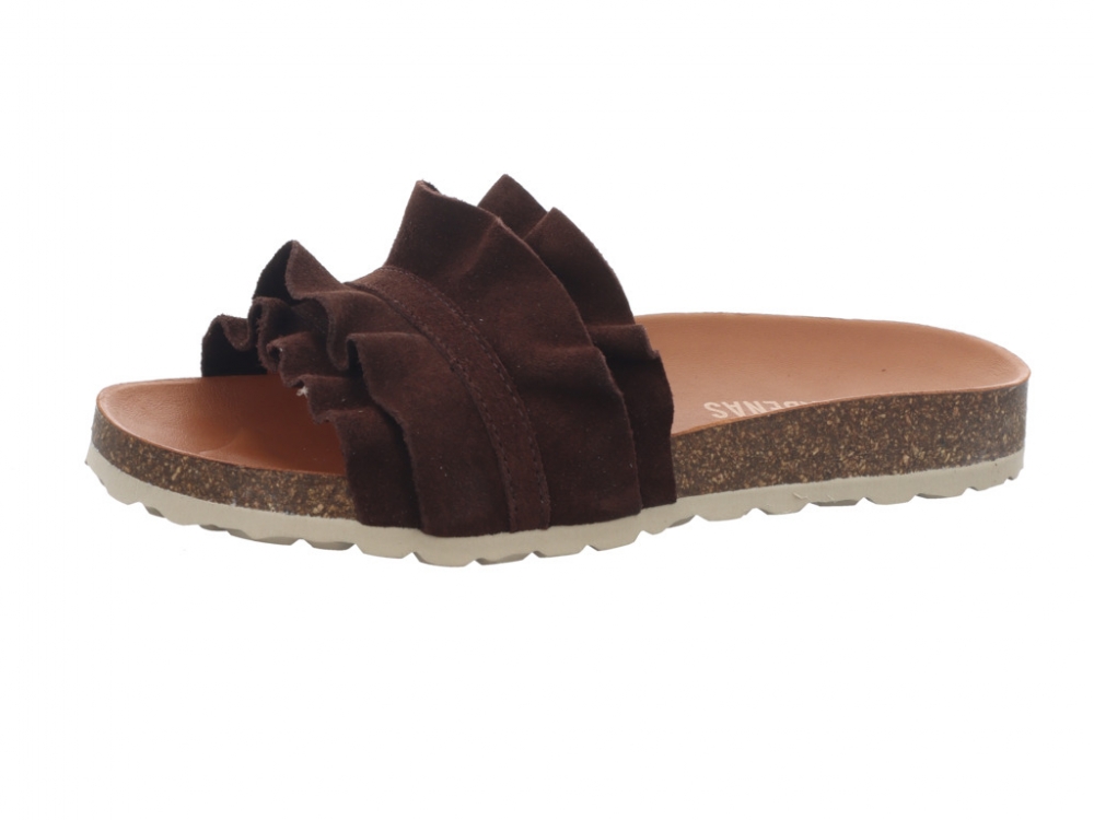 Verbenas Rocio Marron Rocio Marron