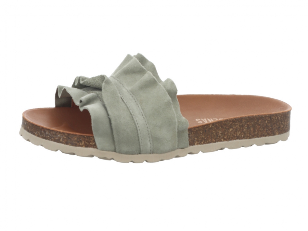 Verbenas Rocio Bosco Rocio Bosco