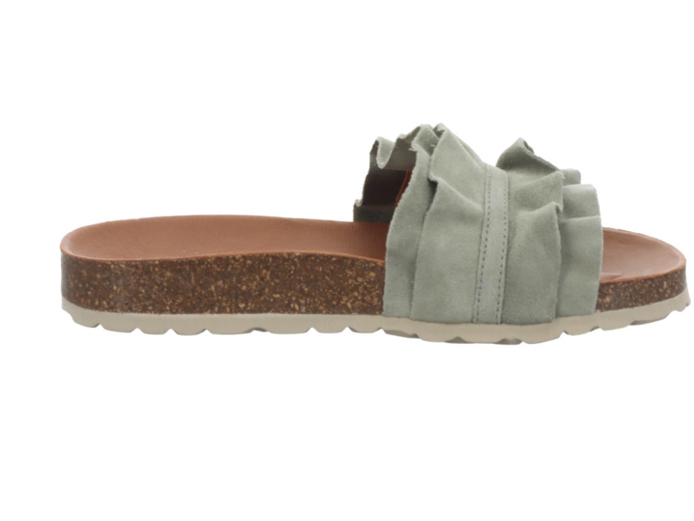 Verbenas Rocio Bosco Rocio Bosco