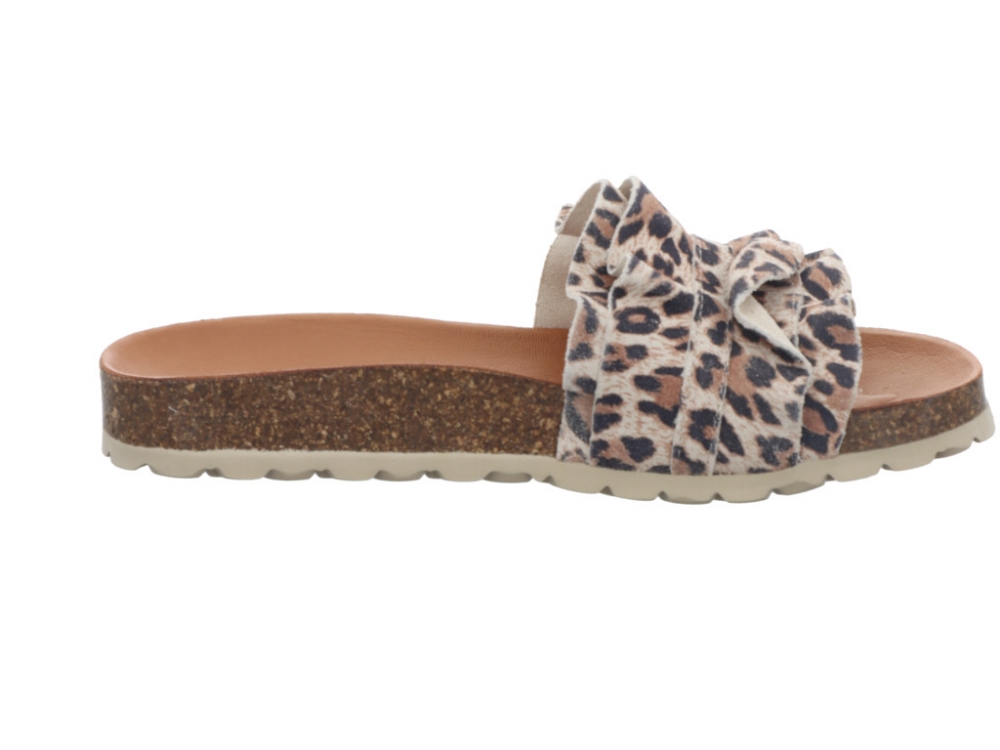 Verbenas Rocio Nat Leo Rocio Nat Leo