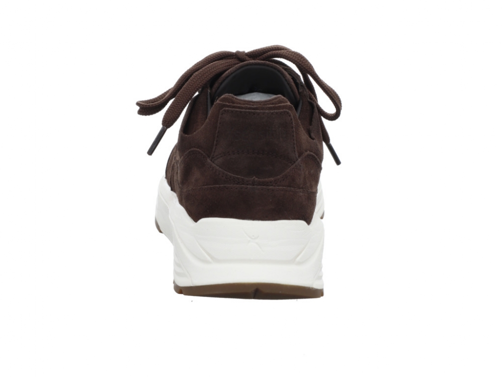 Xsensible Golden Gate Men - Dark Brown 33200.4.308
